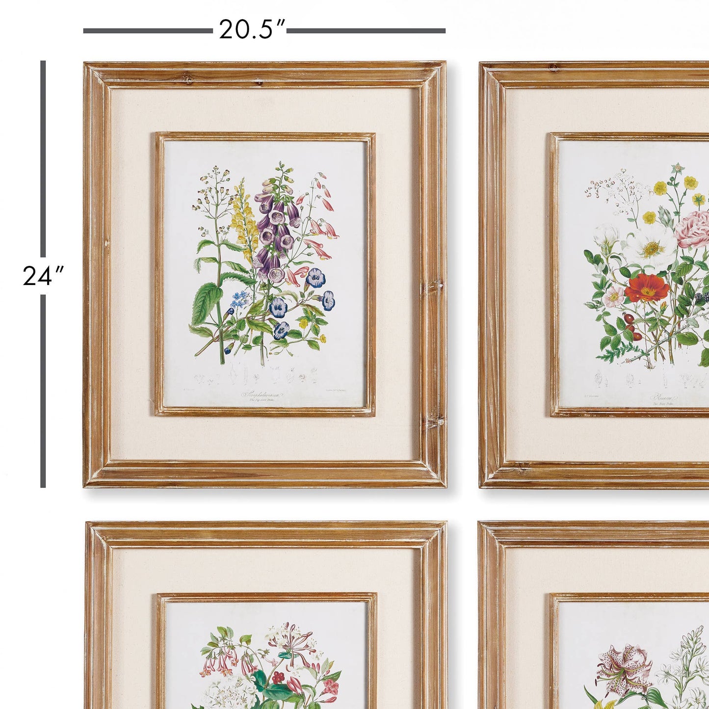 Garden Botanical Prints