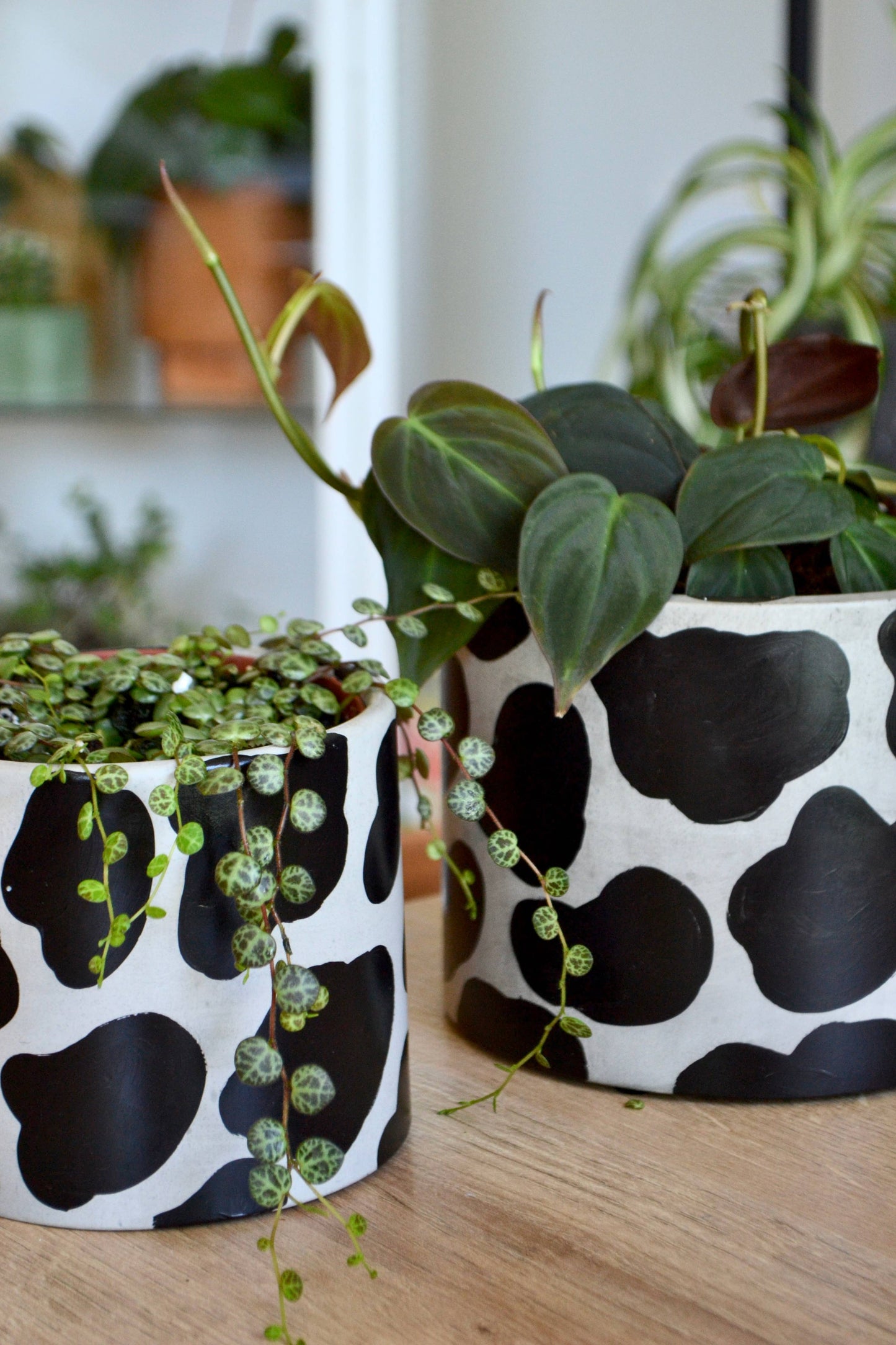 Cow Print Planter