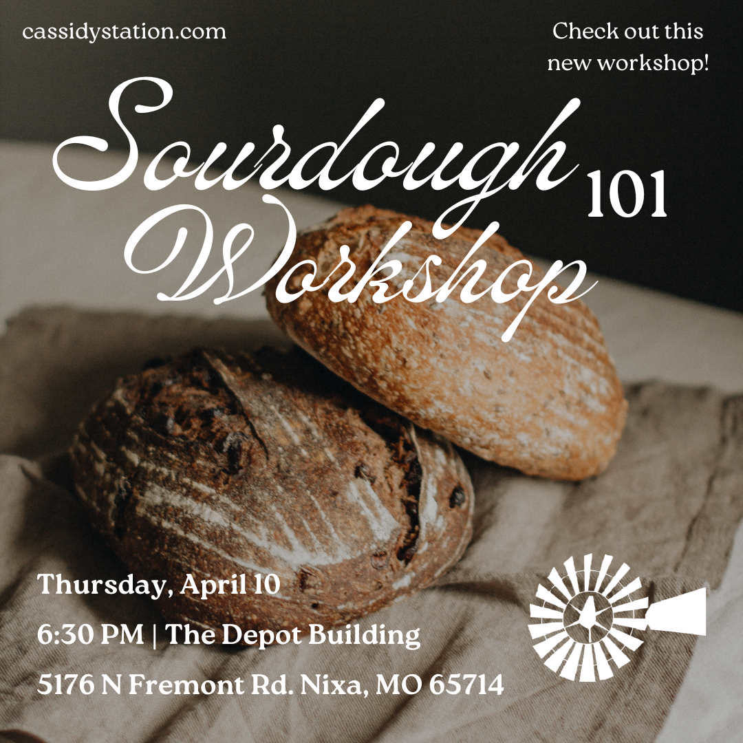 April 10th | Sourdough 101 Workshop