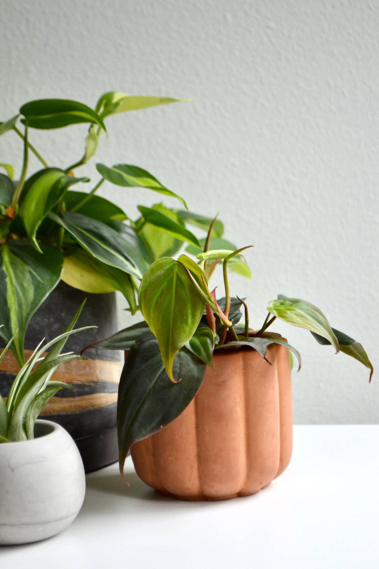 Mini Fluted Planter