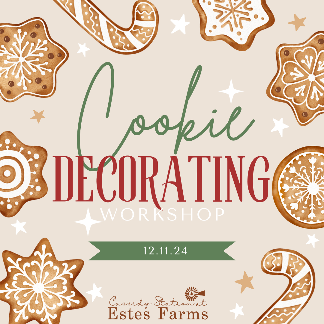 December 11th | Cookie Grandma's Decorating Workshop