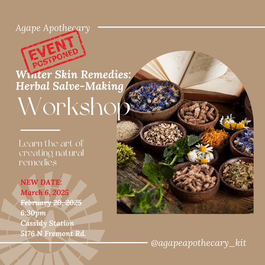 March 6th | Herbal Salve-Making Workshop