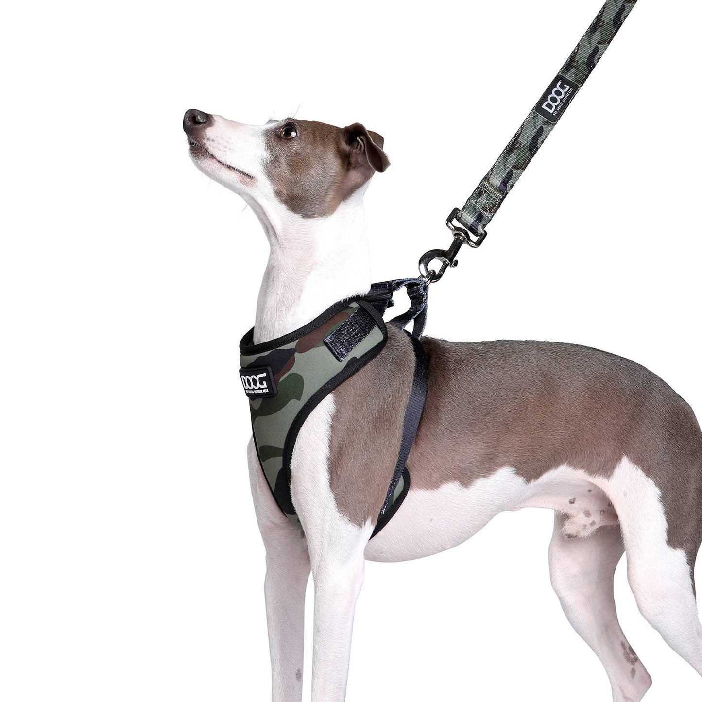 Neoprene Dog Leash - BRUISER