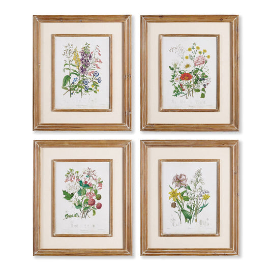 Garden Botanical Prints